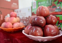 全国性成功：为农齐亚蒂喝彩