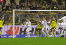 剑南春丨多特2-0奥格斯堡，阿德耶米破门，雷贾尼建功