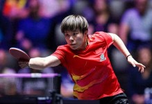 战术执行不明确！失误还多！王艺迪0-4温特无缘世界杯四强！