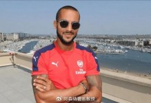 看阿森纳踢球会觉得享受吗？沃尔科特：我享受看到他们赢球