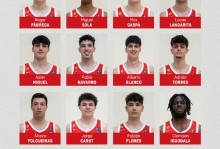 以色列男篮世界排名第几（以色列篮球国家队）