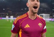 佩莱格里尼：上半场很出色，这也是今天唯一积极的一点