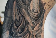 阿尔卡拉斯的新纹身与两代人的观念碰撞