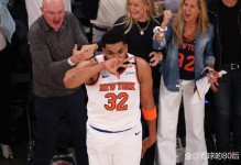 尼克斯狂胜残阵步行者，死忠粉本·斯蒂勒：期待下赛季满血再战！