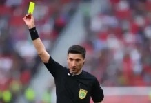 波兰前锋：比赛中裁判漏判我们一个点球；瑞典门将很出色