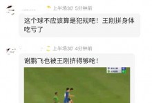 中超首轮裁判：王迪执法成都vs新鹏城，张雷执法山东vs铁人