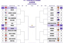 世界杯丹麦队26人名单（丹麦世界杯出线）