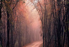 昔日爱徒NBA赛场起冲突，康大主帅竟吃瓜叫好？