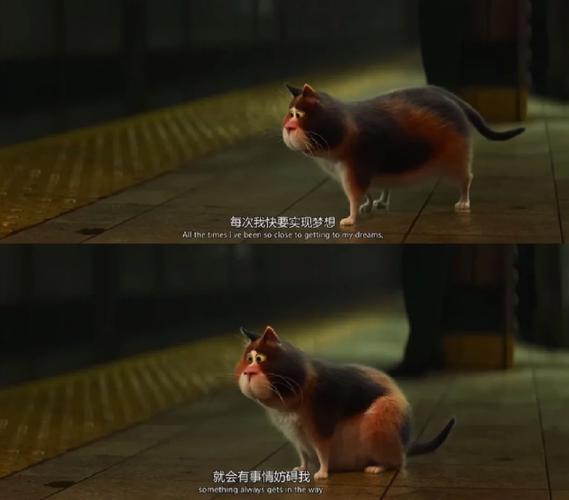 文班谈盖帽：我就喜欢看他们努力半天，最后被我毁掉一天的样子