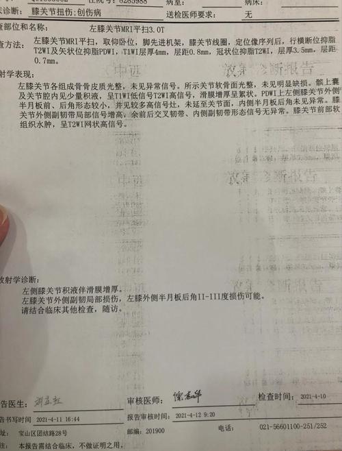 广州官方：经初步检查诊断，郭艾伦伤病位置为左膝前交叉韧带