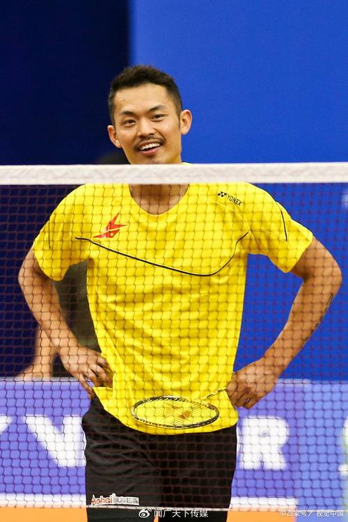 2016年男子羽毛球冠军林丹,（羽毛球冠军林丹照片）