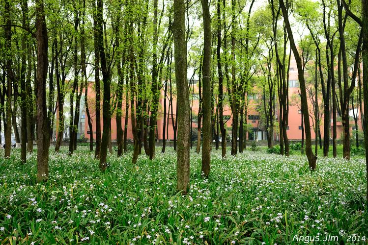 电讯报：埃杜离任日期接近，他被森林告知要远离俱乐部