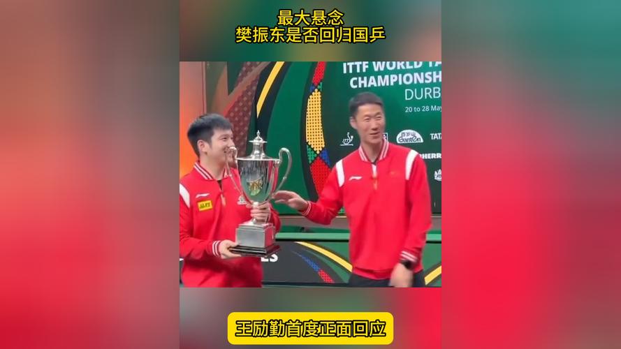 樊振东已进国乒名单?王励勤:尚未确定 还需做队内选拔+教练评估