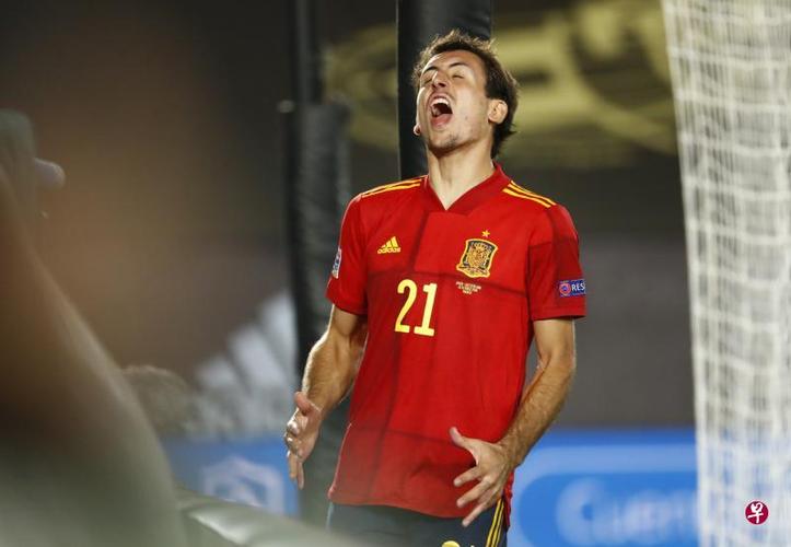 奥亚萨瓦尔：我得到的荣誉远比想象中多；会珍惜在皇社的每天