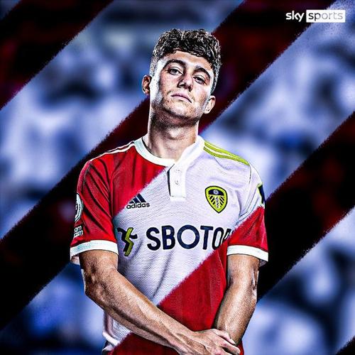 镜报：针对恋童癖萨维尔的口号引发众怒，利兹联曼联联手整治