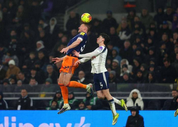 热刺两名小将奥卢塞西&罗斯韦尔：完成英超首秀是梦想成真