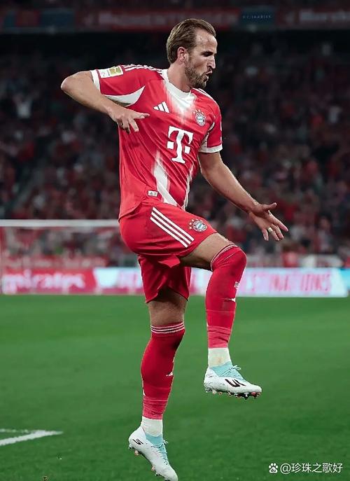 德雷森：拜仁追求最大化的竞技成功，代价不是经济上的不理智