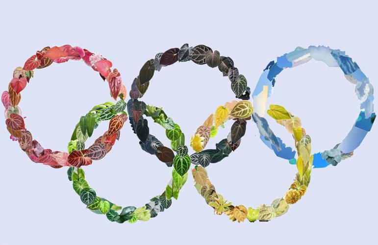 奥运五环颜色代表哪五个州（奥运五环颜色分别是）