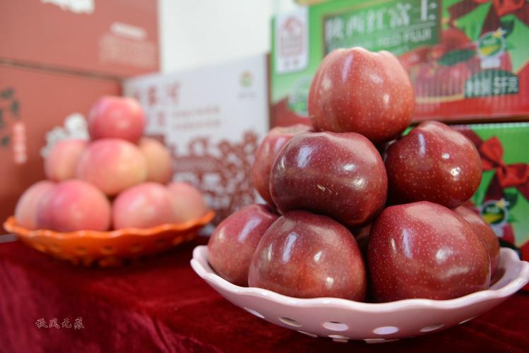 全国性成功：为农齐亚蒂喝彩