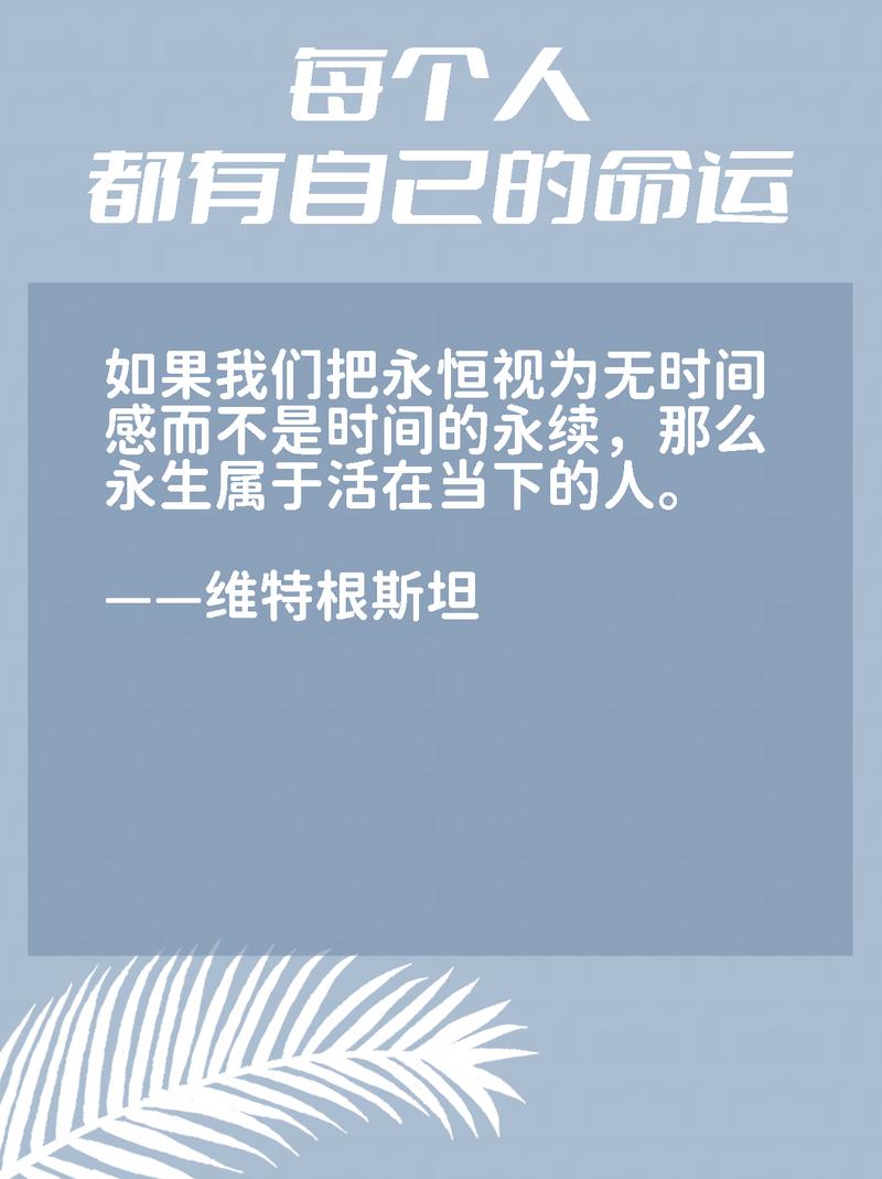 马里奥·费尔南德斯：“我不分享事情，这是我表达性格的方式”