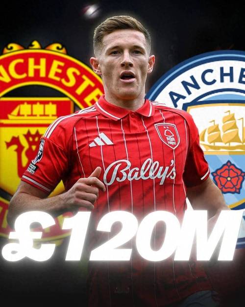 巴里：曼联应在世界杯前签下安德森，否则他若爆发身价将更高