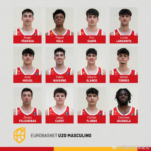 以色列男篮世界排名第几（以色列篮球国家队）