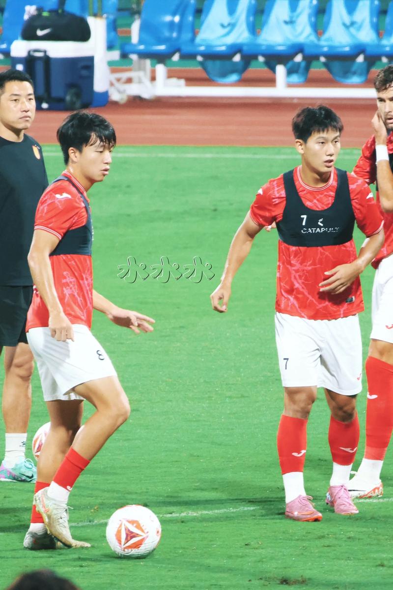 浙媒：浙江队就铜梁龙球员李镇全的违规行为提出追责申请