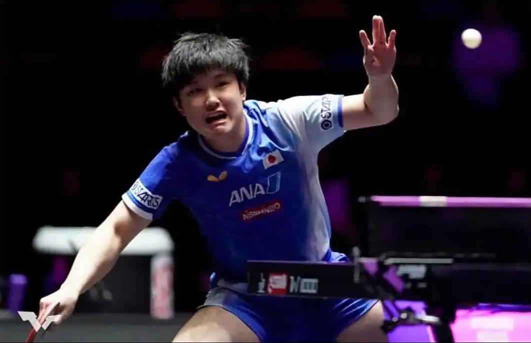 被日本官员公开夸赞 22岁张本智和连连弯腰 日本人已不把他当外人