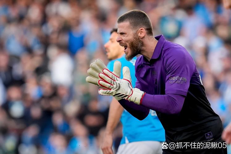 德赫亚愤怒：为什么佛罗伦萨队长无法接受对阵水晶宫的溃败